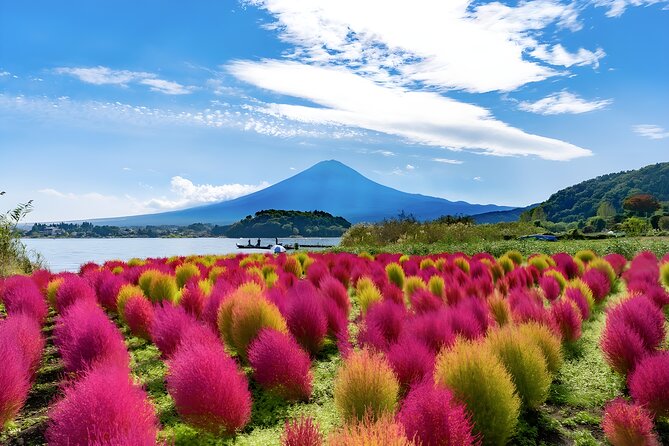 Mount Fuji and Hakone Private day trip from Tokyo - Lake Kawaguchiko, the Fuji Five Lakes gateway