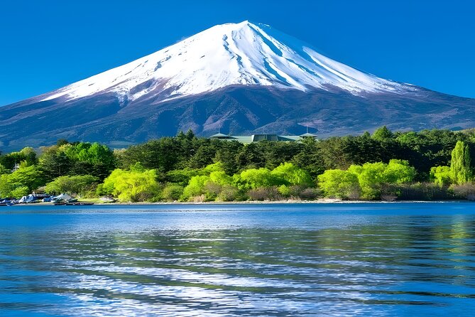 Mount Fuji and Hakone Private day trip from Tokyo - Owakudani Valley and Hakone’s volcanic ground