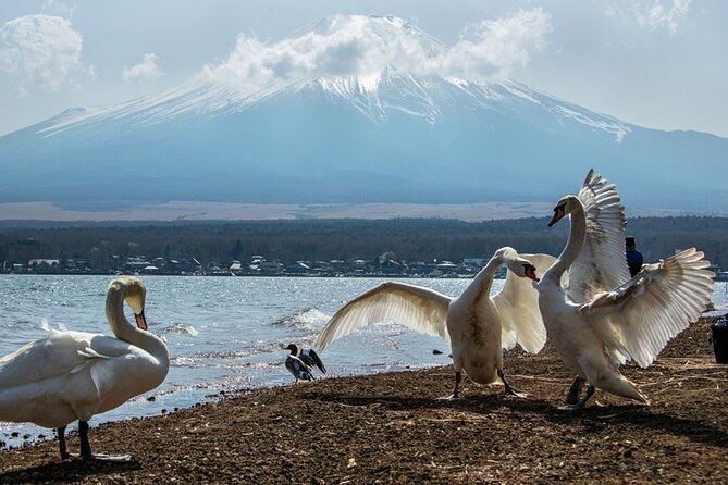 Mount Fuji and Hakone Private day trip from Tokyo - The Hakone Ropeway and the cost to plan for