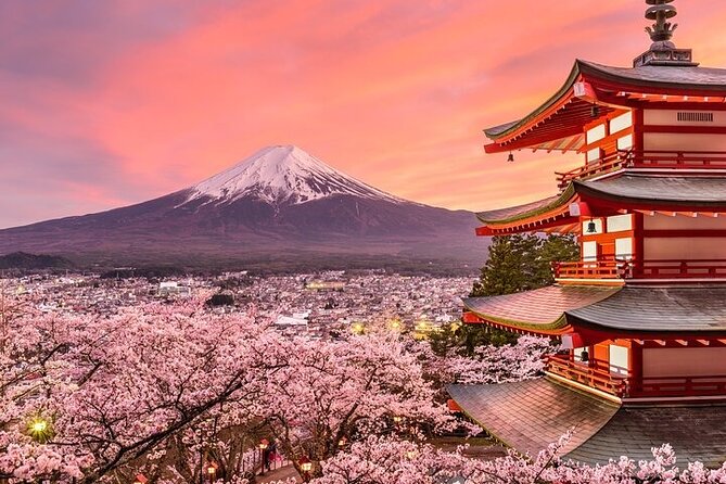 Mount Fuji and Hakone Private Tour by Car with Pickup from Tokyo - What this private Fuji and Hakone day actually does