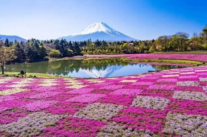 Mount Fuji and Hakone Private Tour by Car with Pickup from Tokyo - Gora Park and the historic garden stop