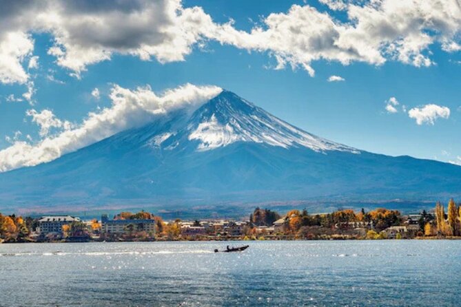 Mount Fuji and Hakone Private Tour by Car with Pickup from Tokyo - Hakone Shrine and its lakeside torii