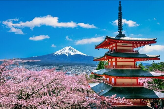 Mount Fuji and Hakone Private Tour by Car with Pickup from Tokyo - Owakudani and the Hakone Ropeway