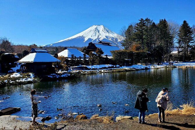 Mount Fuji and Hakone Private Tour from Tokyo (Customizable) - Why a private vehicle makes this Fuji day easier