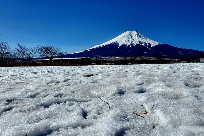 Mount Fuji and Hakone Private Tour from Tokyo (Customizable) - Oshino Hakkai shows Fuji country at ground level