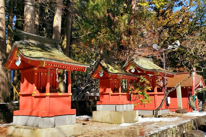 Mount Fuji and Hakone Private Tour from Tokyo (Customizable) - Hakone Ropeway turns the journey into a viewpoint