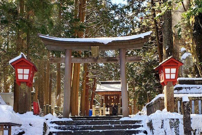 Mount Fuji and Hakone Private Tour from Tokyo (Customizable) - Lake Ashi closes the day with open views