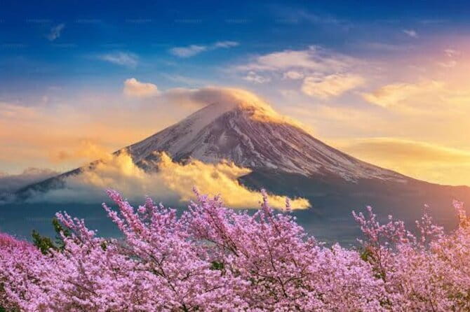 Mount Fuji and Hakone Private Tour with Pickup from Tokyo - Cruise or cable car at Kawaguchiko