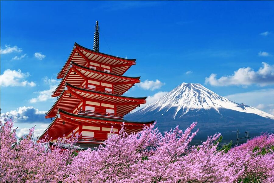Mount Fuji and Hakone Tour with Personal Driver & Transport - Arakura Fuji Sengen Shrine and the classic Fuji view