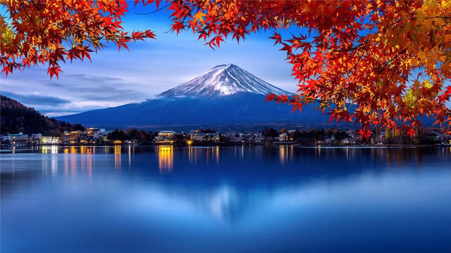 Mount Fuji and Hakone Tour with Personal Driver & Transport - Oishi Park and its flower displays