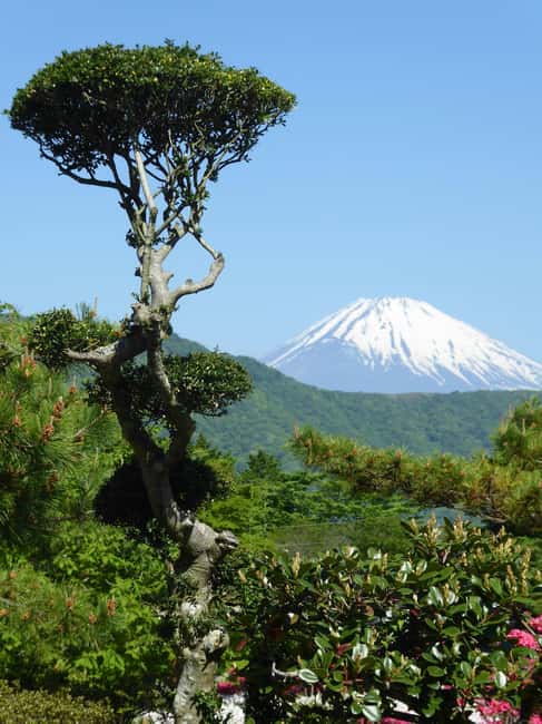 Mount Fuji: Customizable Private Tour By Car With Pickup - Lake Kawaguchiko and Oishi Park