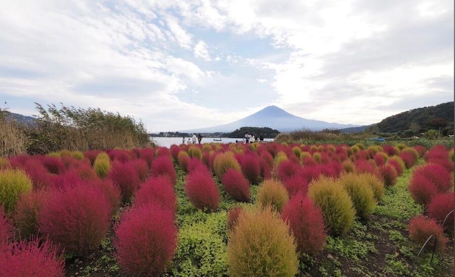 Mount Fuji Customize Private Tour with English Driver - Shrines, a pagoda, and Japanese views of Fuji
