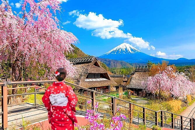 Mount Fuji Day Tour:Lake Kawaguchi, HealingVillage,Oshino Hakkai - Four things to know before booking