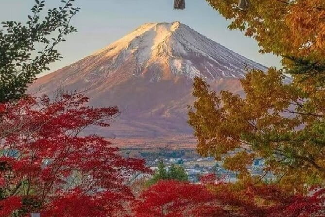 Mount Fuji Day Tour:Lake Kawaguchi, HealingVillage,Oshino Hakkai - Arakurayama Sengen Park and the classic Fuji view