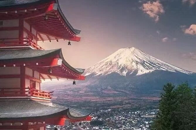 Mount Fuji Day Tour:Lake Kawaguchi, HealingVillage,Oshino Hakkai - Fuji visibility, crowds, and the reality of the schedule