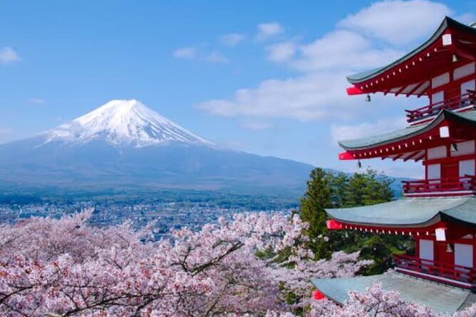 Mount Fuji Full Day Customizable Private Tour with English Guide - A private route from Tokyo to Mount Fuji