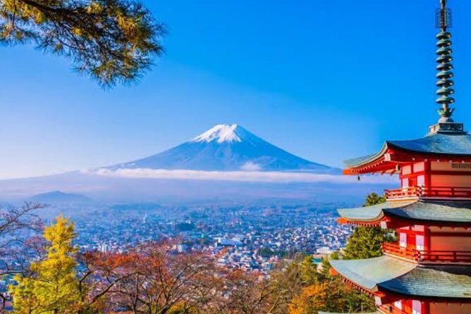 Mount Fuji Full Day Customize Private Tour with English Guide - Key points to know before you book