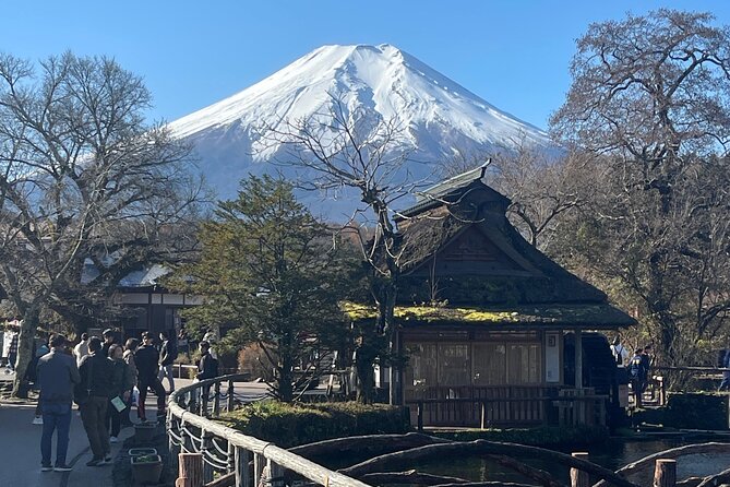 Mount Fuji Full Day Customize Private Tour with English Guide - Mount Fuji 5th Station and the first big view
