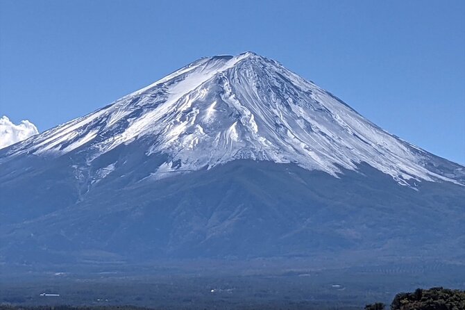Mount Fuji Full Day Customize Private Tour with English Guide - Oishi Park and the north side of the lake