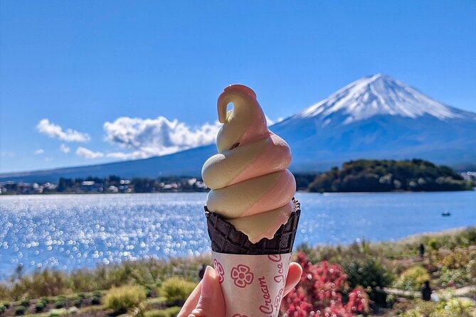 Mount Fuji Full Day Customize Private Tour with English Guide - Chureito Pagoda and Arakurayama Sengen Park
