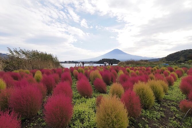 Mount Fuji Full Day Customized Private Tour with English Guide - The optional Hakone route