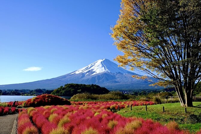 Mount Fuji Full Day Customized Private Tour with English Guide - Mount Fuji 5th Station, the highest main stop