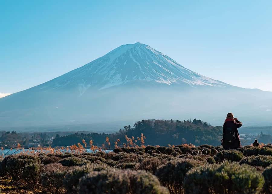 Mount Fuji Full-Day Private Sightseeing Tour with Guide - Key points to know before booking