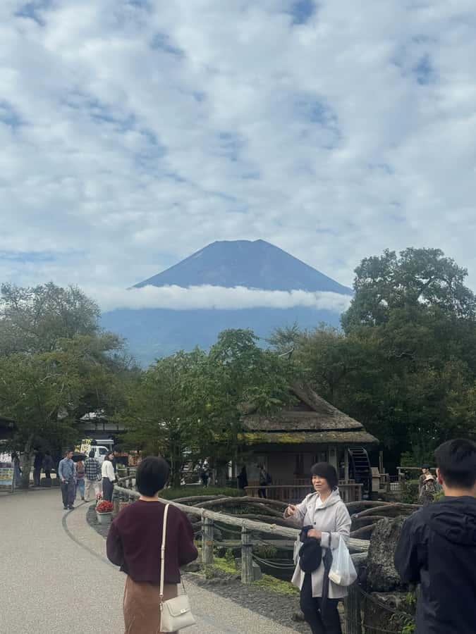 Mount Fuji Full-Day Private Sightseeing Tour with Guide - Saiko Iyashi no Sato Nemba and a quieter cultural stop