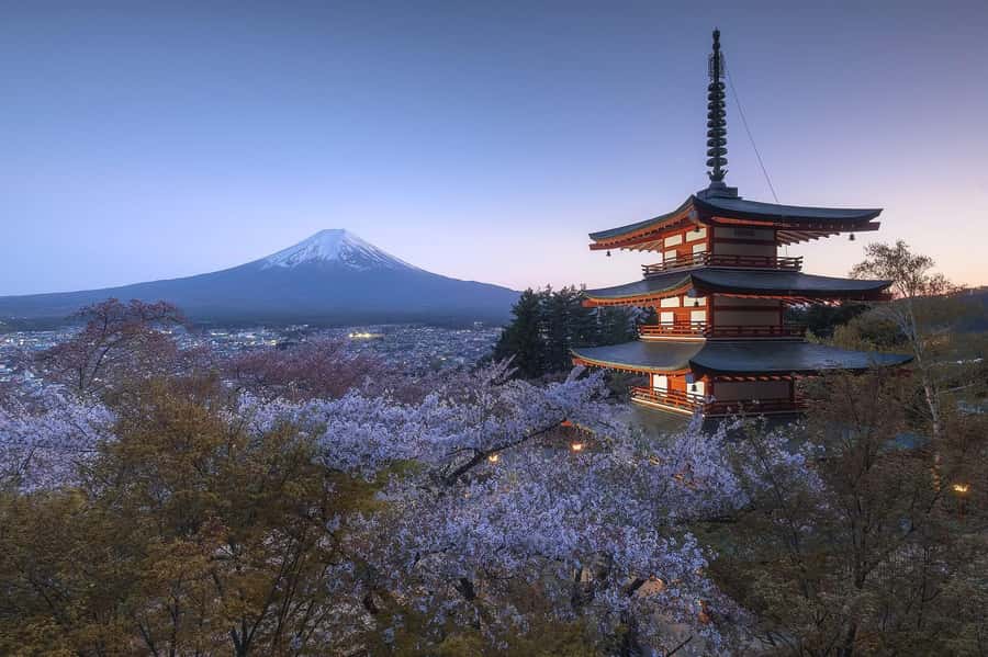 Mount Fuji Full-Day Private Sightseeing Tour with Guide - Mount Fuji 5th Station and the weather problem