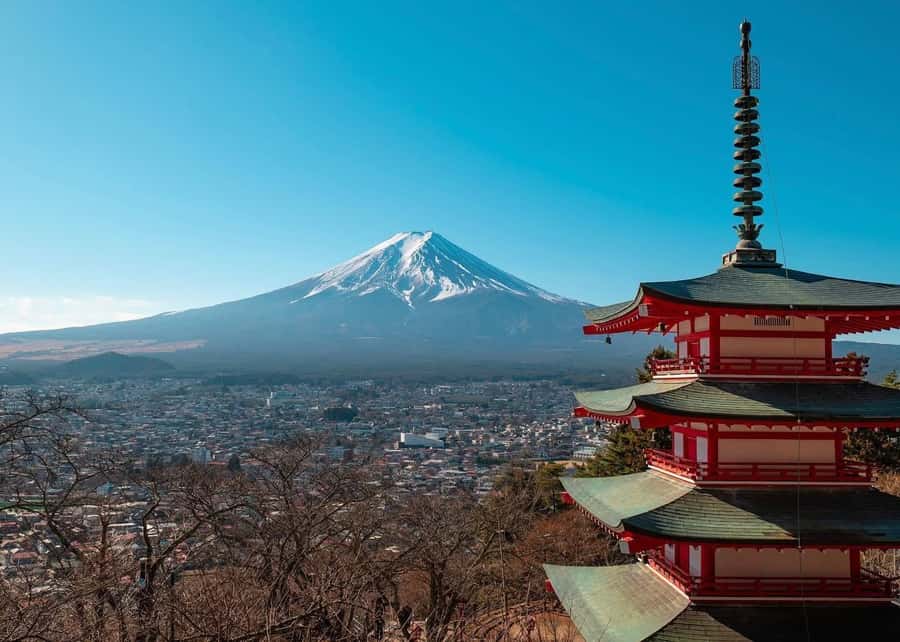 Mount Fuji Full-Day Private Sightseeing Tour with Guide - The drive to Mount Fuji
