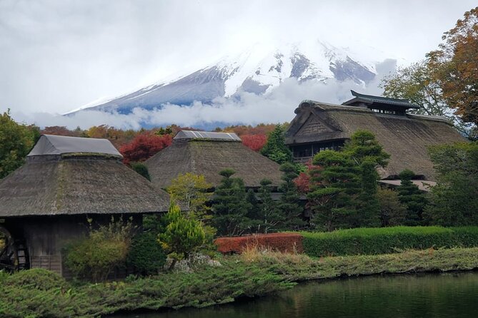 Mount Fuji Full-Day Private Tour from Tokyo (Customizable) - Oishi Park for flowers and a Fuji view