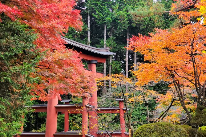 Mount Fuji Full-Day Private Tour from Tokyo (Customizable) - The 5th Station and the biggest itinerary tradeoff