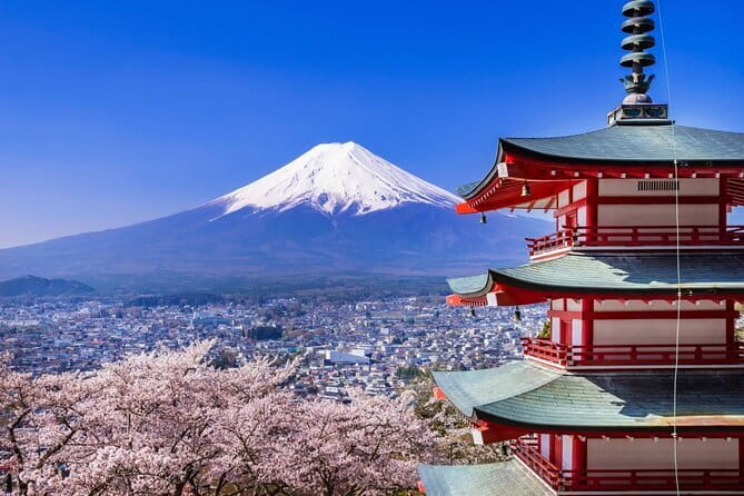 Mount Fuji Full Day Sightseeing Tour from Tokyo - Key points to know before you book