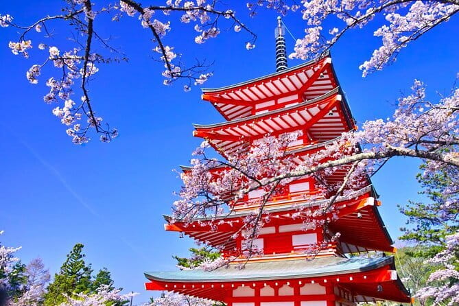 Mount Fuji Full Day Sightseeing Tour from Tokyo - The early start and the Tokyo pickup