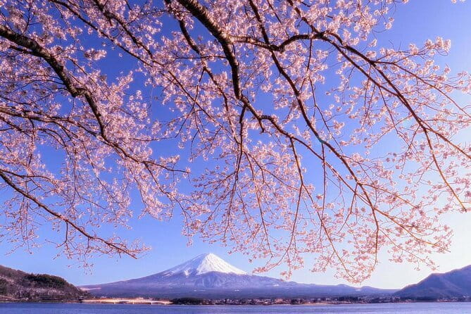 Mount Fuji Full Day Tour form Tokyo Lake Kawaguchi & Yamanaka - Lake Yamanaka, the calm first stop