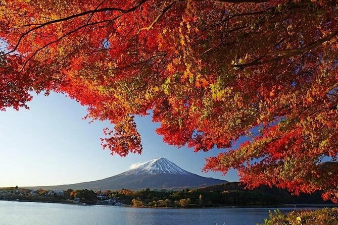 Mount Fuji Full Day Tour form Tokyo Lake Kawaguchi & Yamanaka - Lake Kawaguchi and Oishi Park