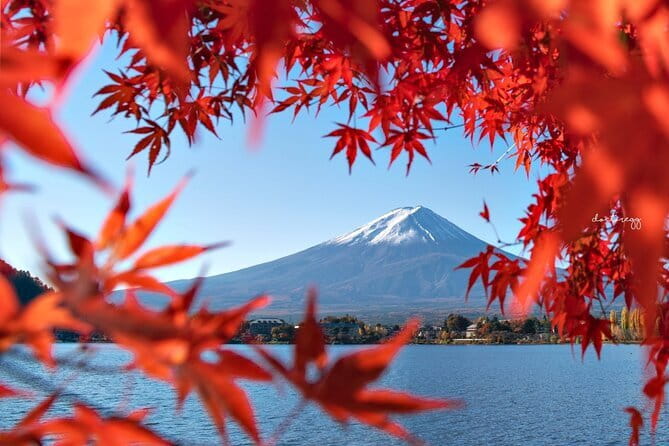 Mount Fuji Full Day Tour form Tokyo Lake Kawaguchi & Yamanaka - Transport, timing, and the large-group tradeoff