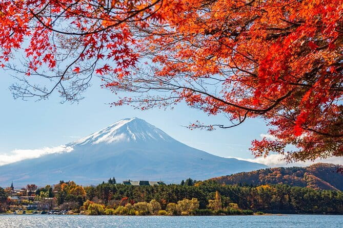 Mount Fuji Full Day Tour form Tokyo Lake Kawaguchi & Yamanaka - Oshino Hakkai and the spring-fed village