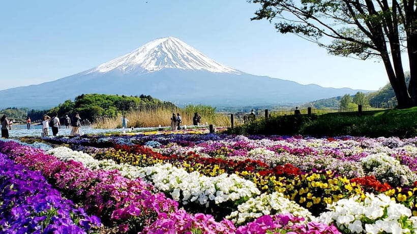 Mount Fuji & Hakone Full-Day Private Tour (Customizable) - Key points at a glance