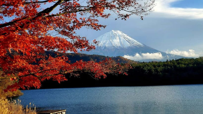 Mount Fuji & Hakone Full-Day Private Tour (Customizable) - Why this private Mount Fuji tour works