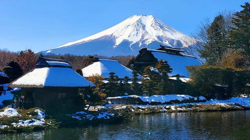 Mount Fuji & Hakone Full-Day Private Tour (Customizable) - Owakudani Valley in a short 30-minute stop