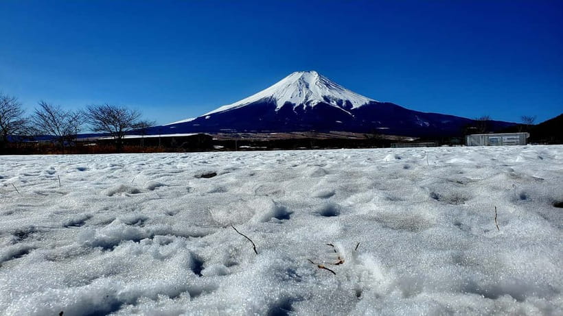 Mount Fuji & Hakone Full-Day Private Tour (Customizable) - What the $452 price really covers