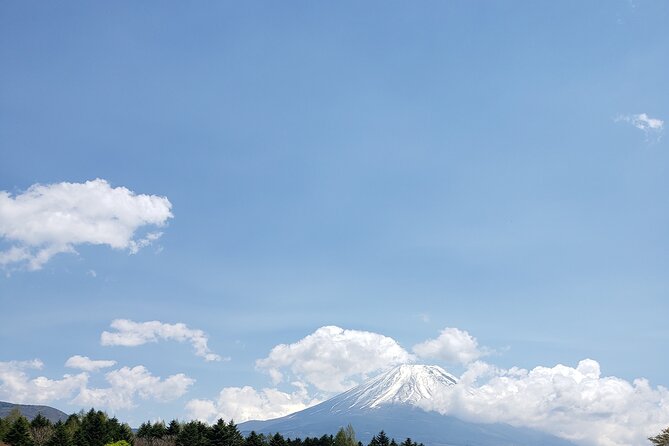 Mount Fuji, Hakone & Lakekawaguchiko Private Group Tour by Car. - Chureito Pagoda and the 400-step climb