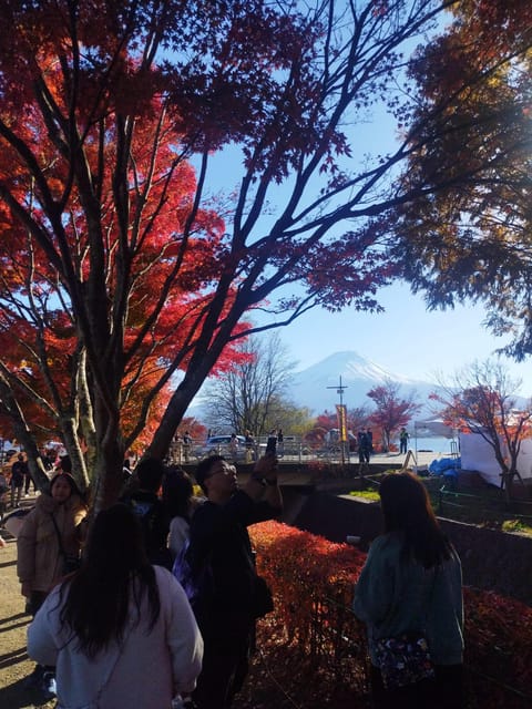 Mount Fuji - Hakone & Onsen Full Day Private Tour - Hakone Open-Air Museum: art among the mountains