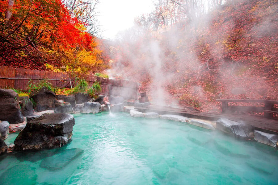 Mount Fuji - Hakone & Onsen Full Day Private Tour - What the $432 group price really buys