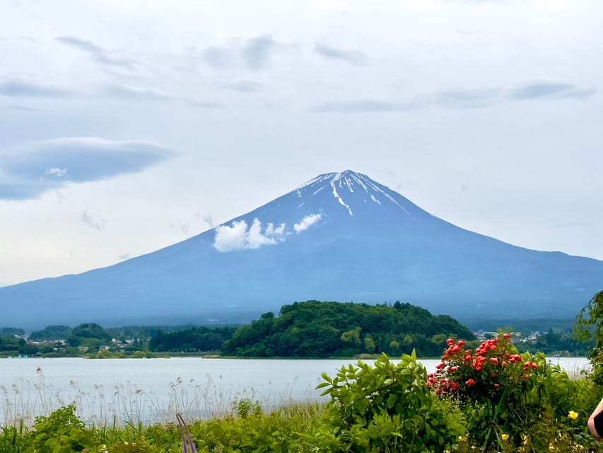 Mount Fuji Hakone with English-speaking Guide - Key points to know before booking