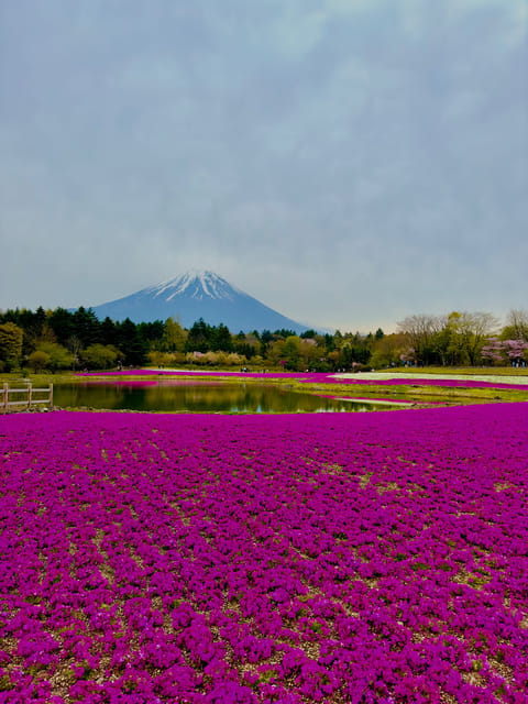 Mount Fuji Hakone with English-speaking Guide - Lake Kawaguchi and the Kachi Kachi Ropeway