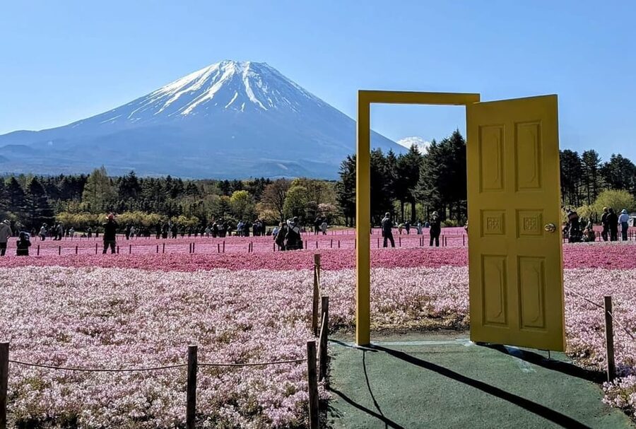 Mount Fuji,Lake Kawaguchiko Private Tour By Car With Pick Up - Fujiyoshida, Fuji-Q Highland, and the crowded schedule