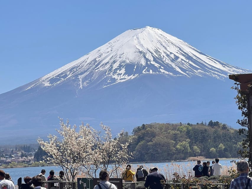 Mount Fuji,Lake Kawaguchiko Private Tour By Car With Pick Up - Oshino Hakkai and the water of Mt. Fuji