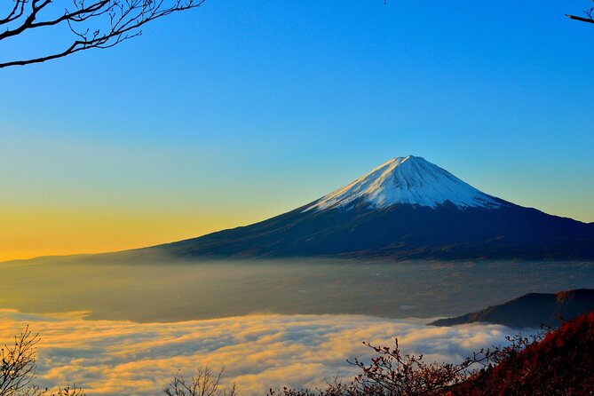 Mount Fuji (Mt. fuji) private tour by car with pickup from Tokyo - Chureito Pagoda gives you the classic Fuji frame